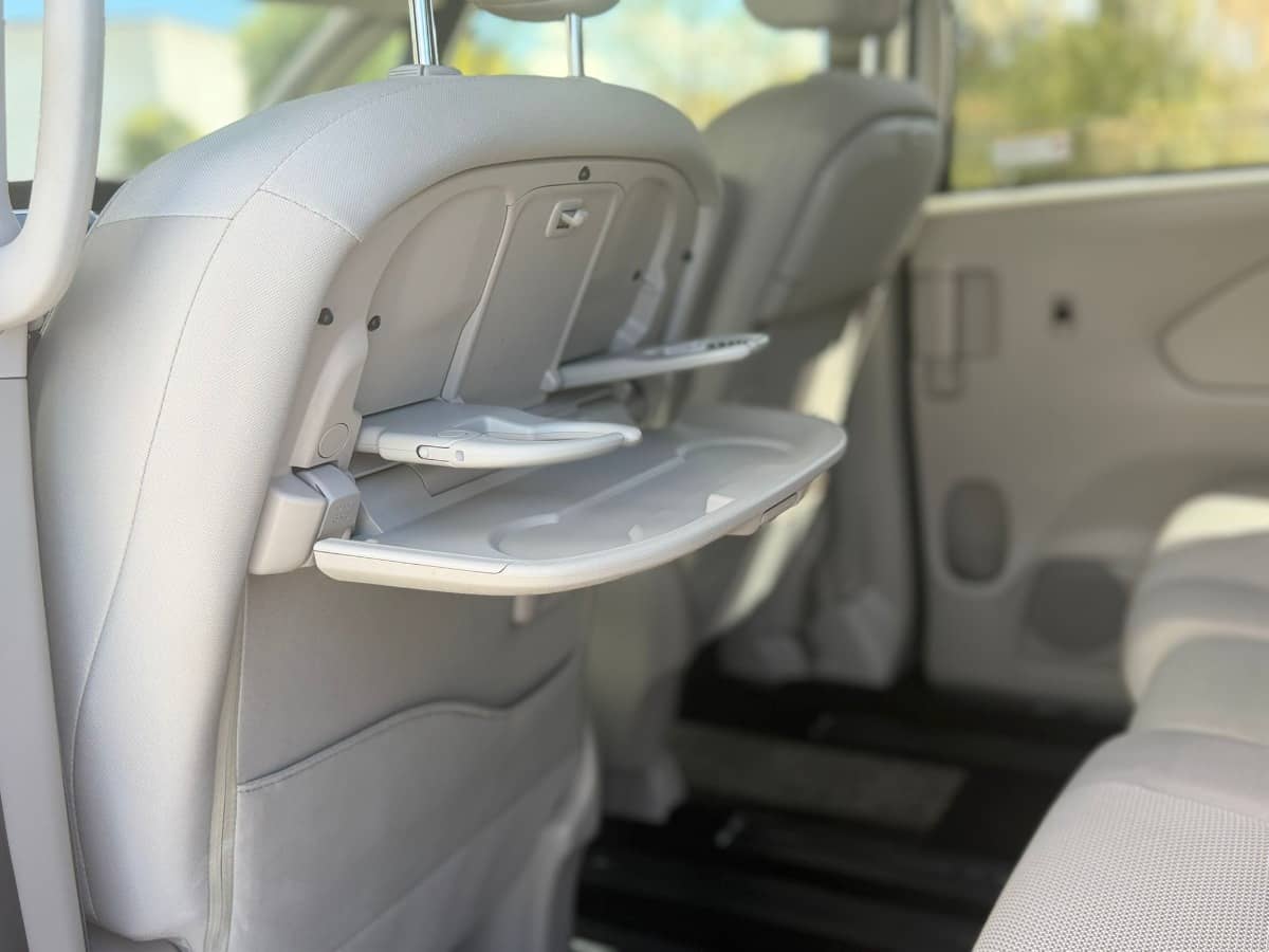 2020 Nissan Serena photo 11