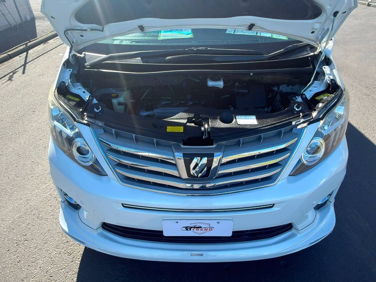 2013 Toyota Alphard photo 18