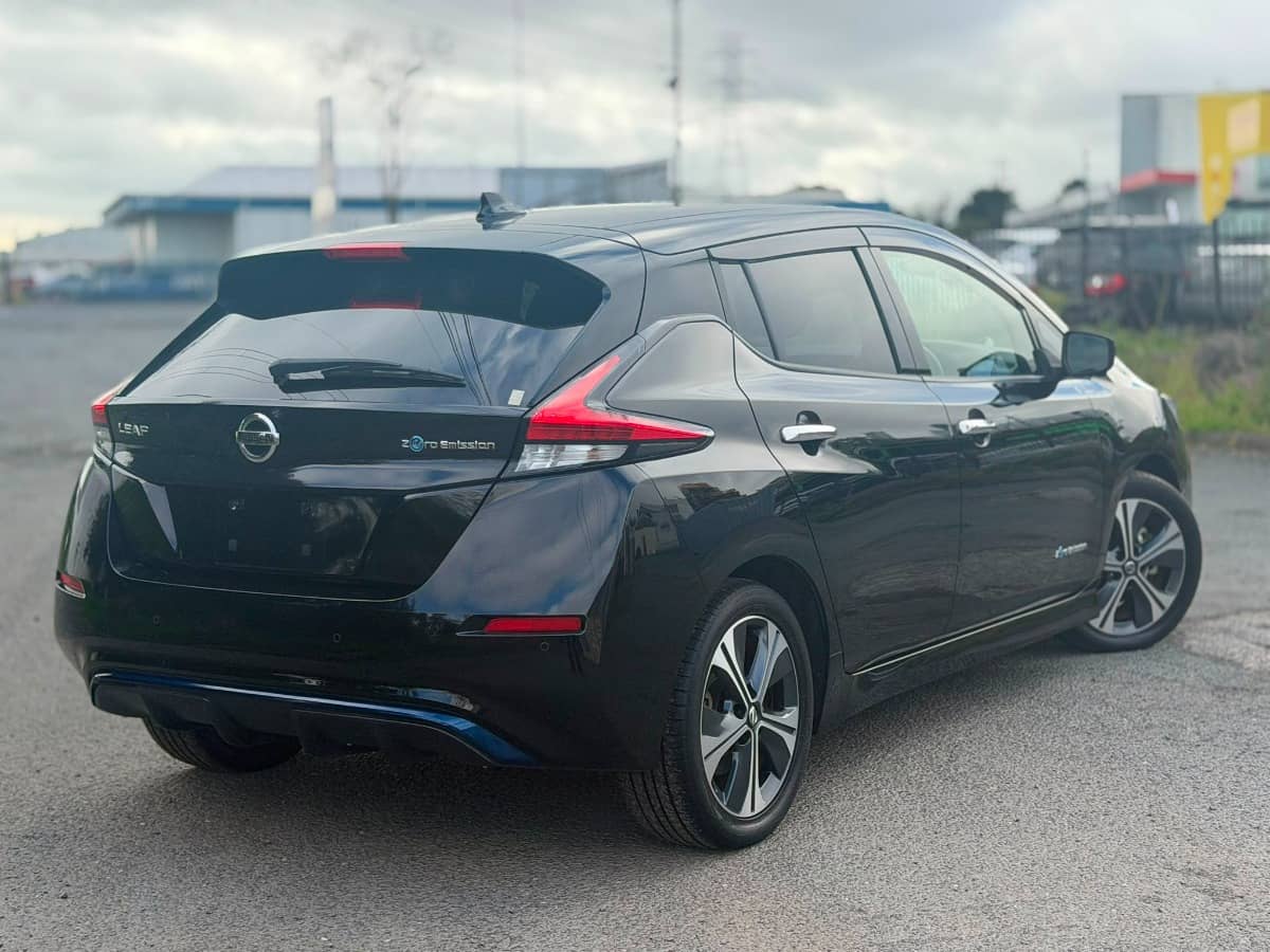 2020 Nissan Leaf photo 2