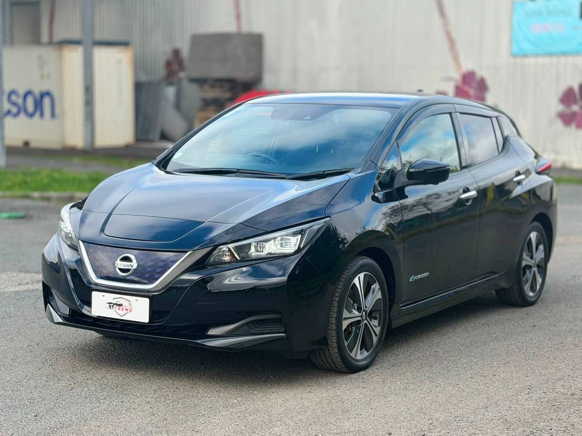 2020 Nissan Leaf photo 4