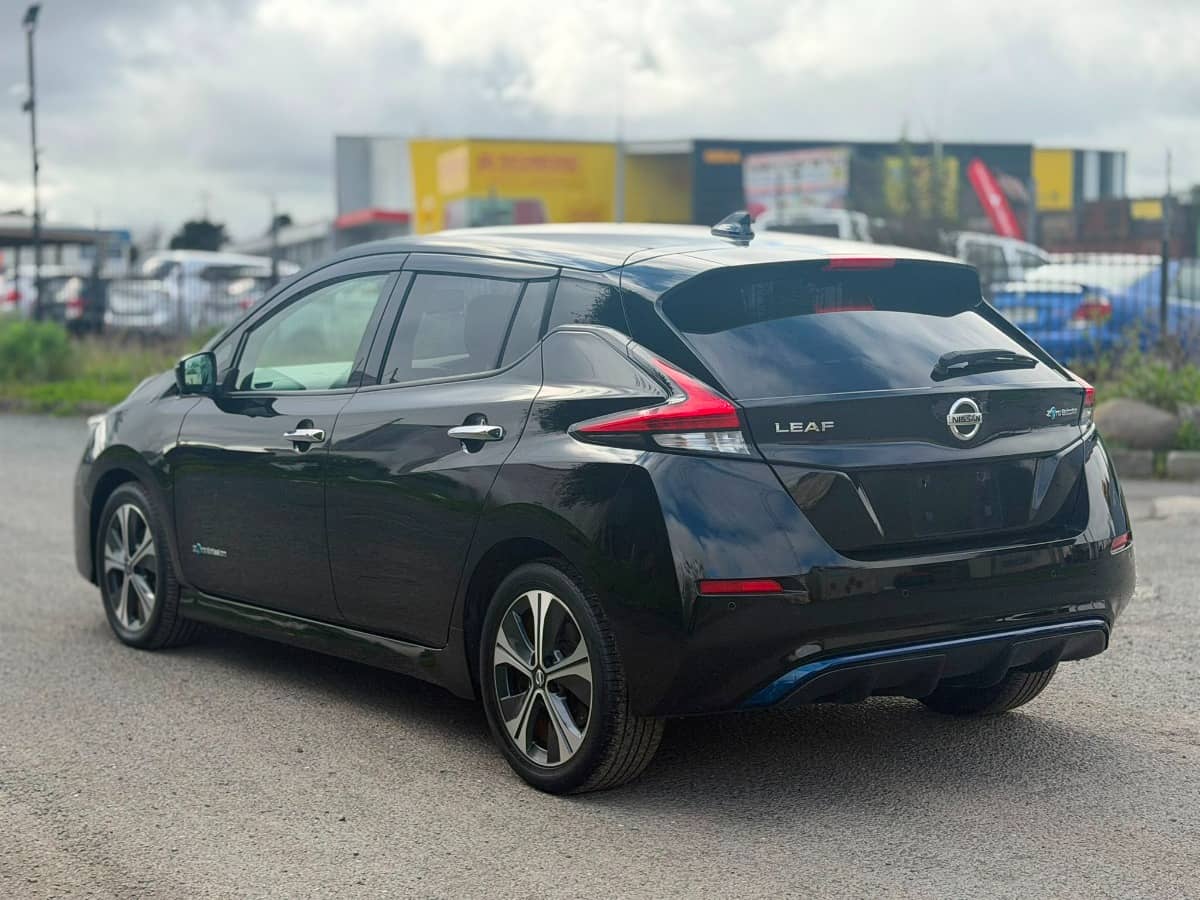 2020 Nissan Leaf photo 8