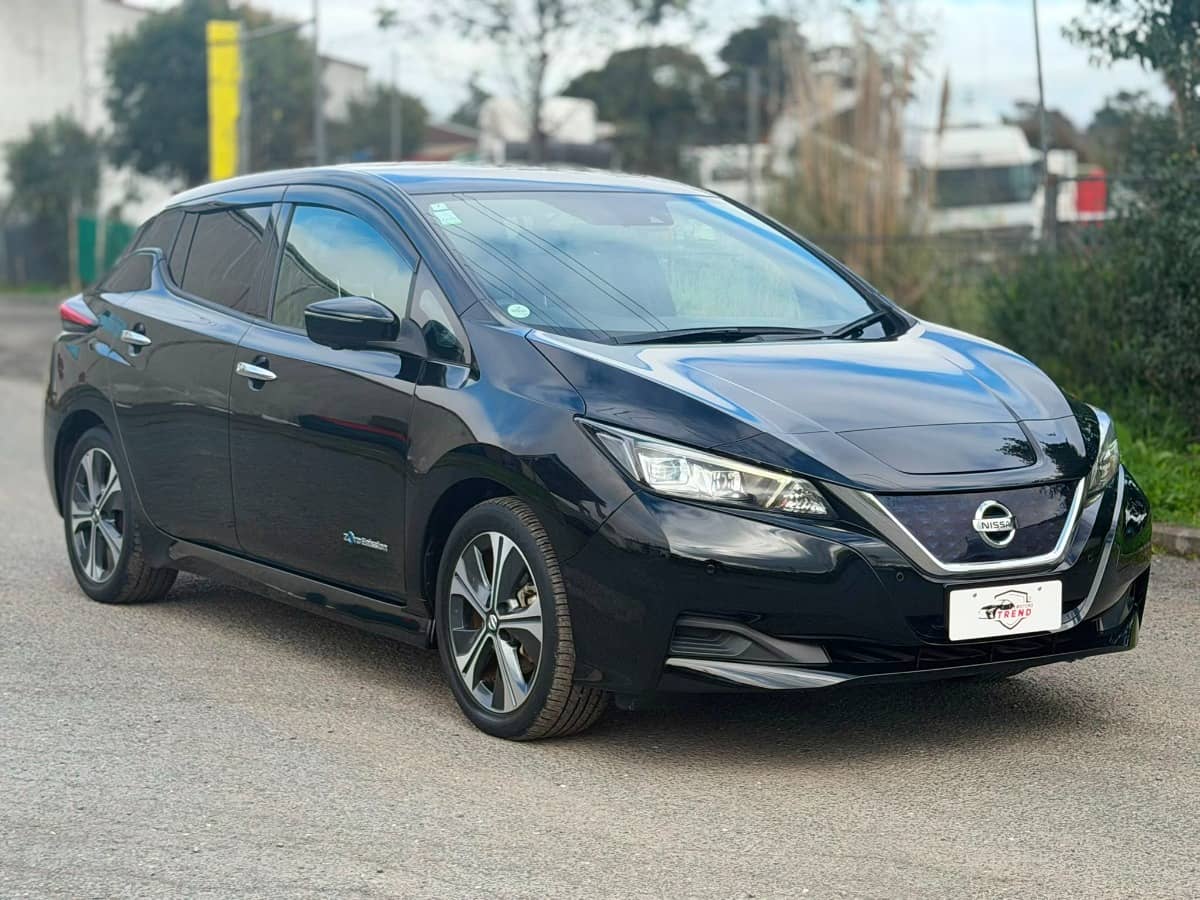 2020 Nissan Leaf photo 5