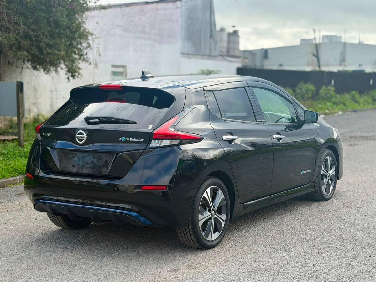 2020 Nissan Leaf photo 9