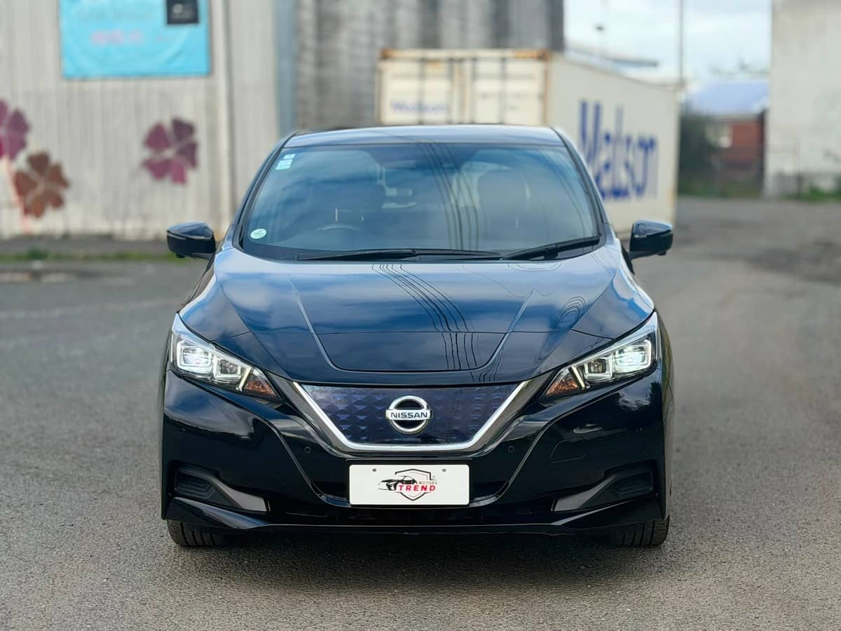 2020 Nissan Leaf photo 6