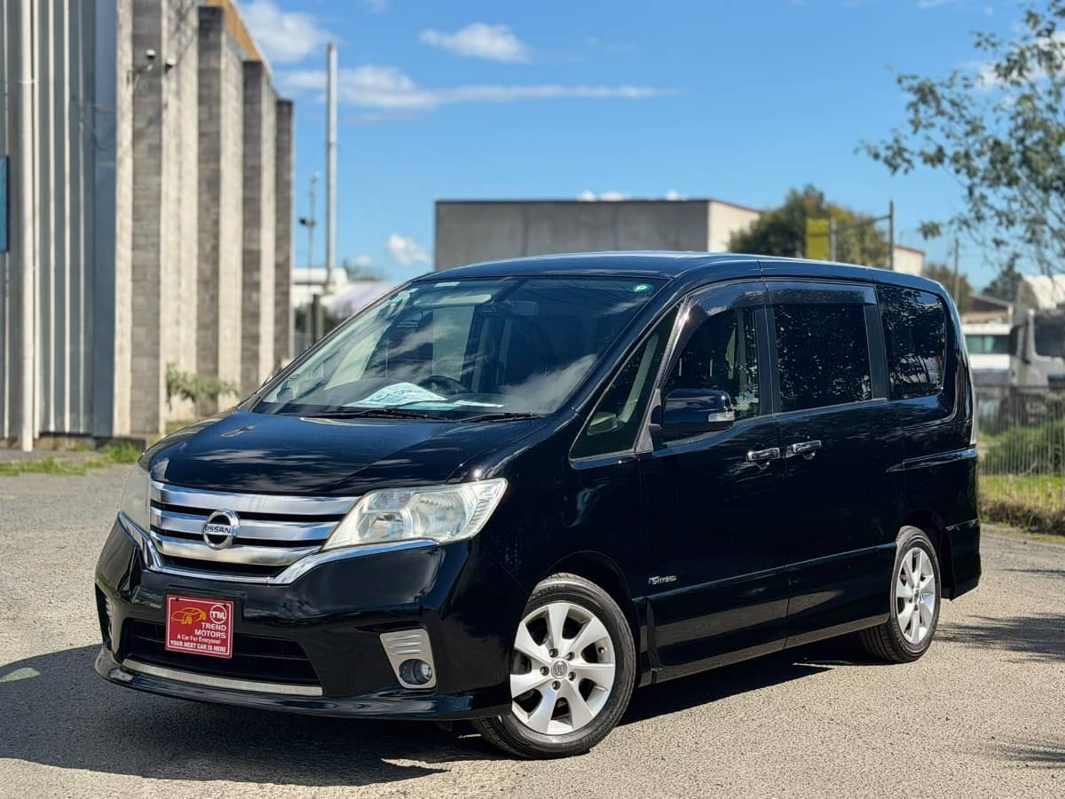 2013 Nissan Serena
