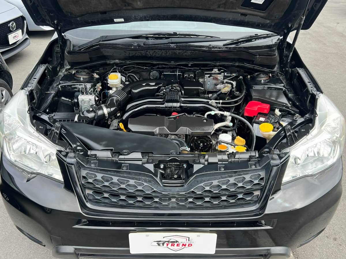 2015 Subaru Forester photo 18